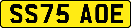 SS75AOE