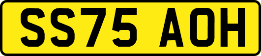 SS75AOH