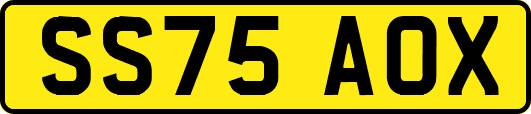SS75AOX