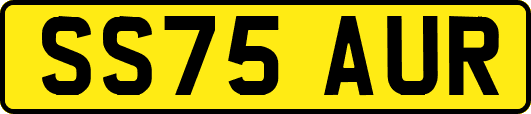 SS75AUR