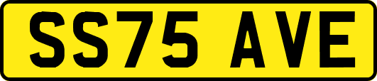 SS75AVE