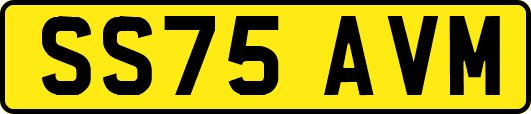 SS75AVM