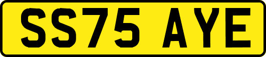 SS75AYE