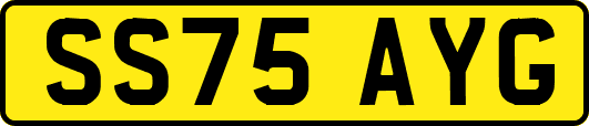 SS75AYG