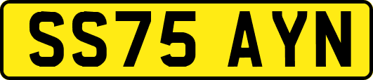 SS75AYN