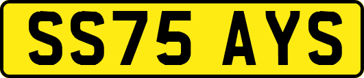 SS75AYS