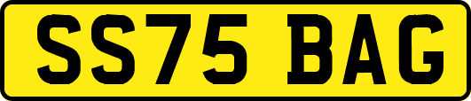 SS75BAG