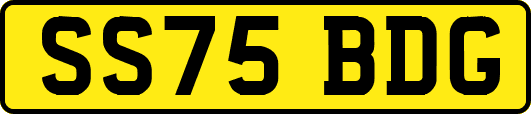 SS75BDG
