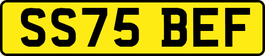 SS75BEF
