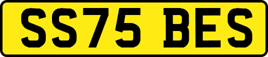 SS75BES