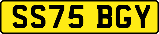 SS75BGY