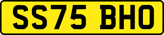 SS75BHO