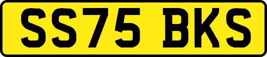 SS75BKS