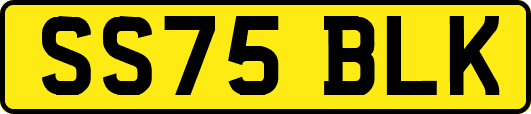 SS75BLK