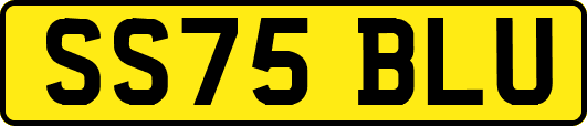 SS75BLU