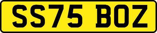 SS75BOZ