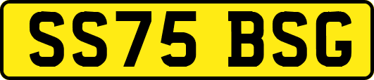 SS75BSG