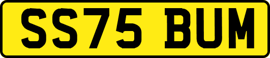 SS75BUM