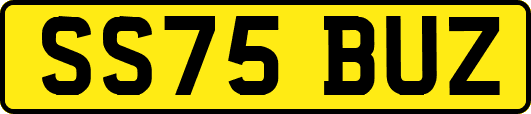 SS75BUZ