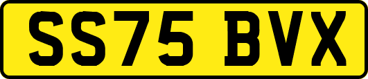 SS75BVX