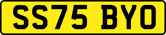 SS75BYO