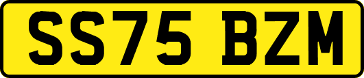 SS75BZM
