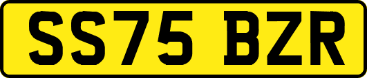 SS75BZR