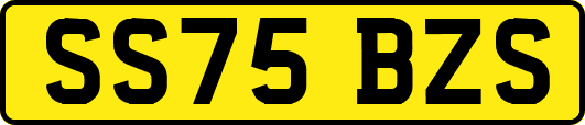 SS75BZS