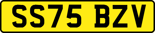 SS75BZV