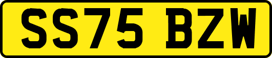 SS75BZW