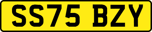 SS75BZY