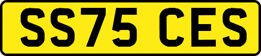 SS75CES
