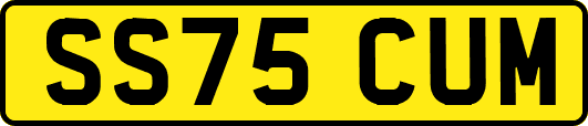 SS75CUM