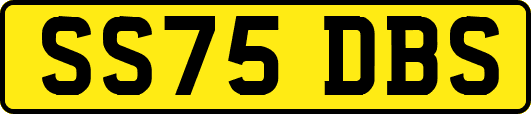 SS75DBS