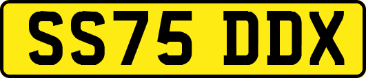 SS75DDX