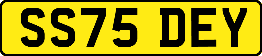 SS75DEY