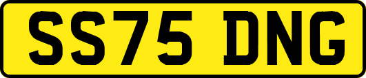 SS75DNG
