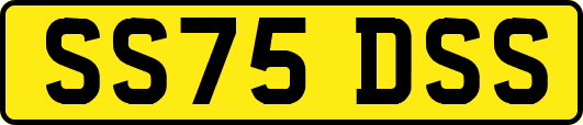 SS75DSS