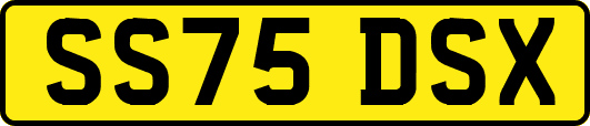 SS75DSX