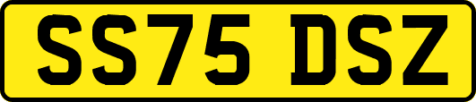SS75DSZ