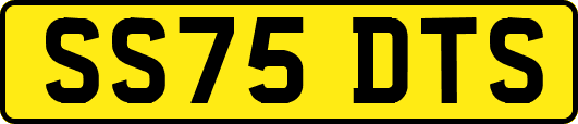 SS75DTS