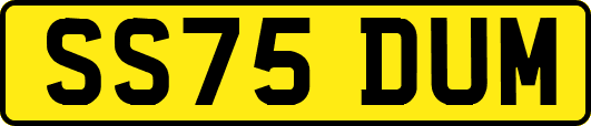 SS75DUM