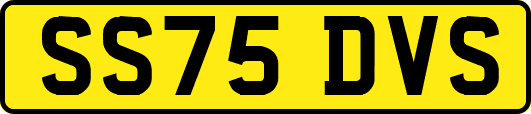SS75DVS