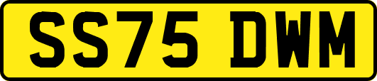 SS75DWM