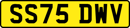 SS75DWV