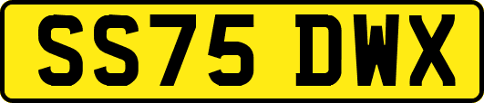 SS75DWX