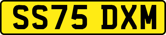SS75DXM