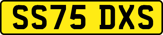 SS75DXS