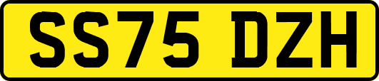 SS75DZH