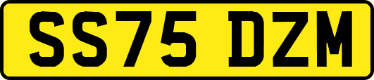 SS75DZM